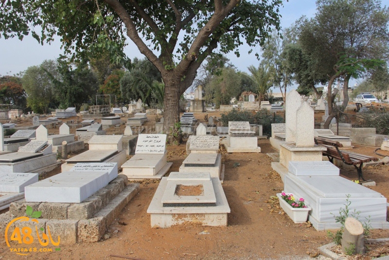 tasoooi3i1412 (37).JPG